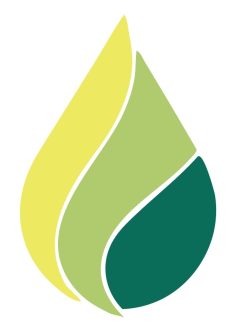 BG Energy Ltd